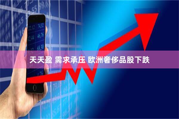 天天盈 需求承压 欧洲奢侈品股下跌