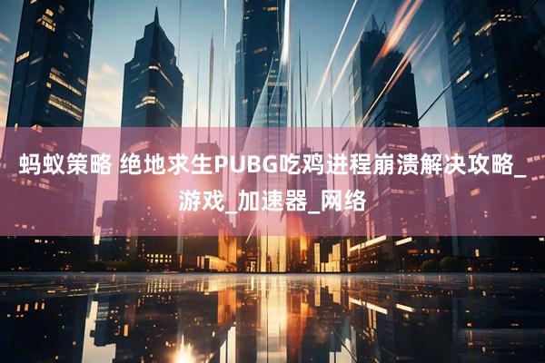 蚂蚁策略 绝地求生PUBG吃鸡进程崩溃解决攻略_游戏_加速器_网络