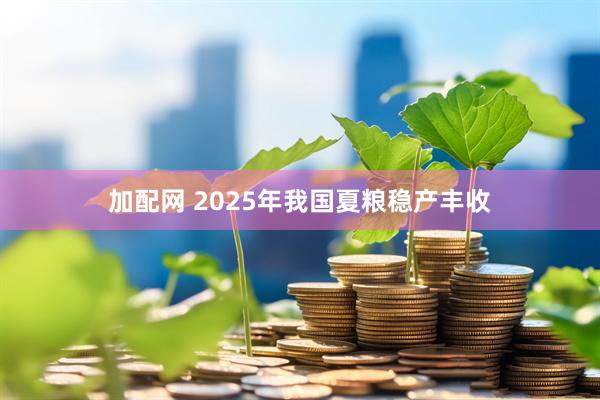 加配网 2025年我国夏粮稳产丰收