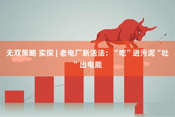 无双策略 实探 | 老电厂新活法：“吃”进污泥“吐”出电能