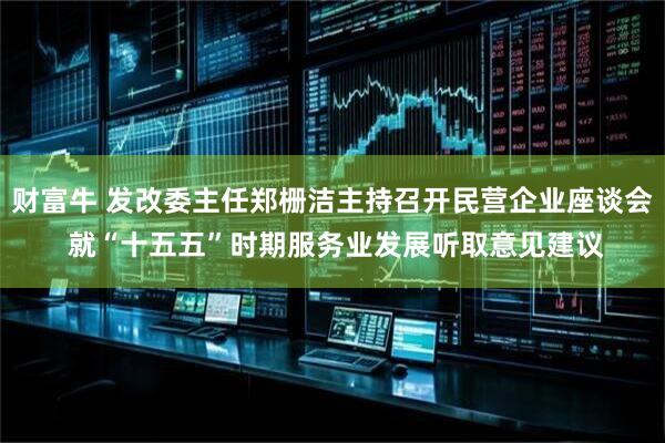 财富牛 发改委主任郑栅洁主持召开民营企业座谈会 就“十五五”时期服务业发展听取意见建议